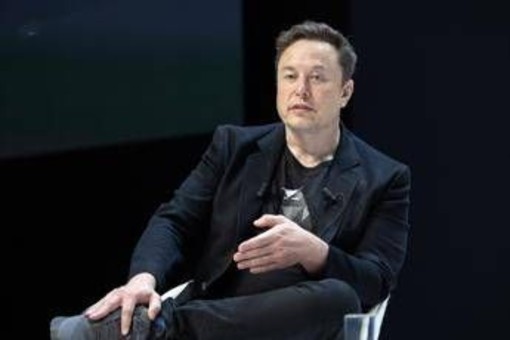 TikTok, Musk: &quot;Non sono interessato ad acquisto&quot;