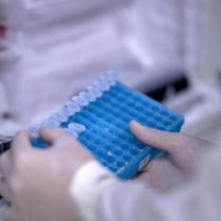 Tumori, Ash 2024: nuovi dati consolidano efficacia farmaci biologici in ematologia