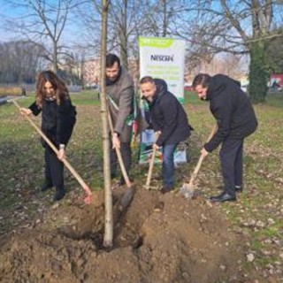 Sostenibilità, PiantiAmo il futuro: 200 alberi a Ferrara con il progetto di Nescafé