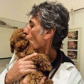 Capodanno, il veterinario Coccìa: &quot;State con i vostri animali, evitate cure viste sui social e medicine&quot;