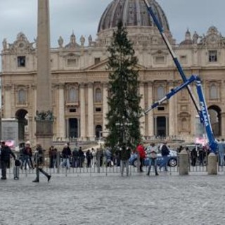 Natale, innalzato in piazza San Pietro l'albero al centro delle proteste